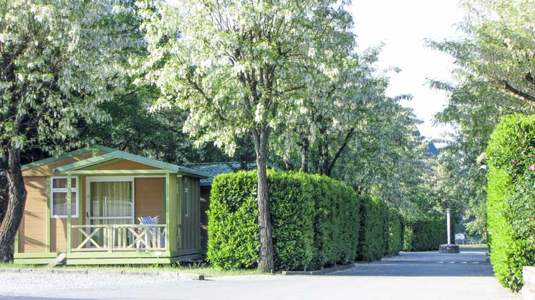 allée fleur camping ardèche