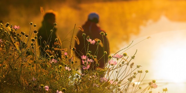 camping en bord de rivière Ardèche