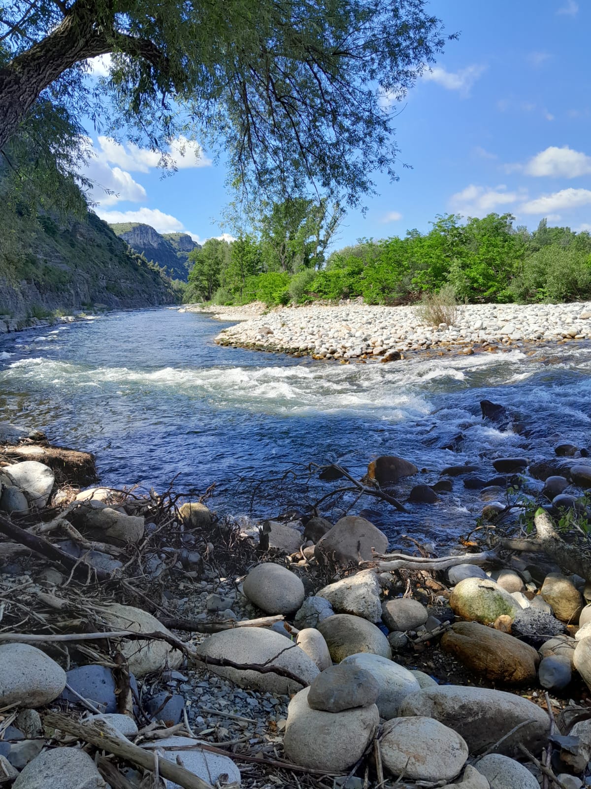 camping aux abords de Salavas